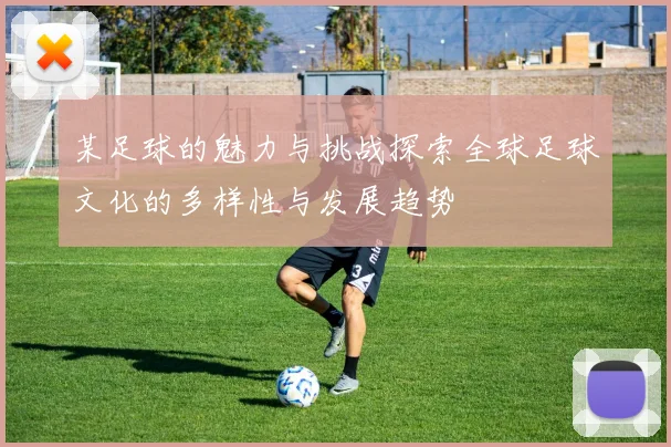 某足球的魅力与挑战探索全球足球文化的多样性与发展趋势