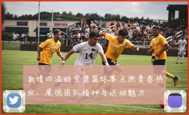 激情四溢的雪碧篮球赛点燃青春热血，展现团队精神与运动魅力