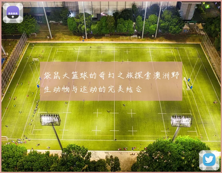 袋鼠大篮球的奇幻之旅探索澳洲野生动物与运动的完美结合