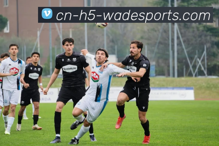 betvictor中文平台生态图