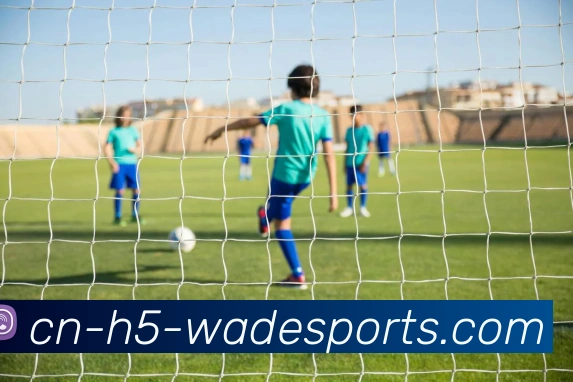 betvictor中文APP 封面图